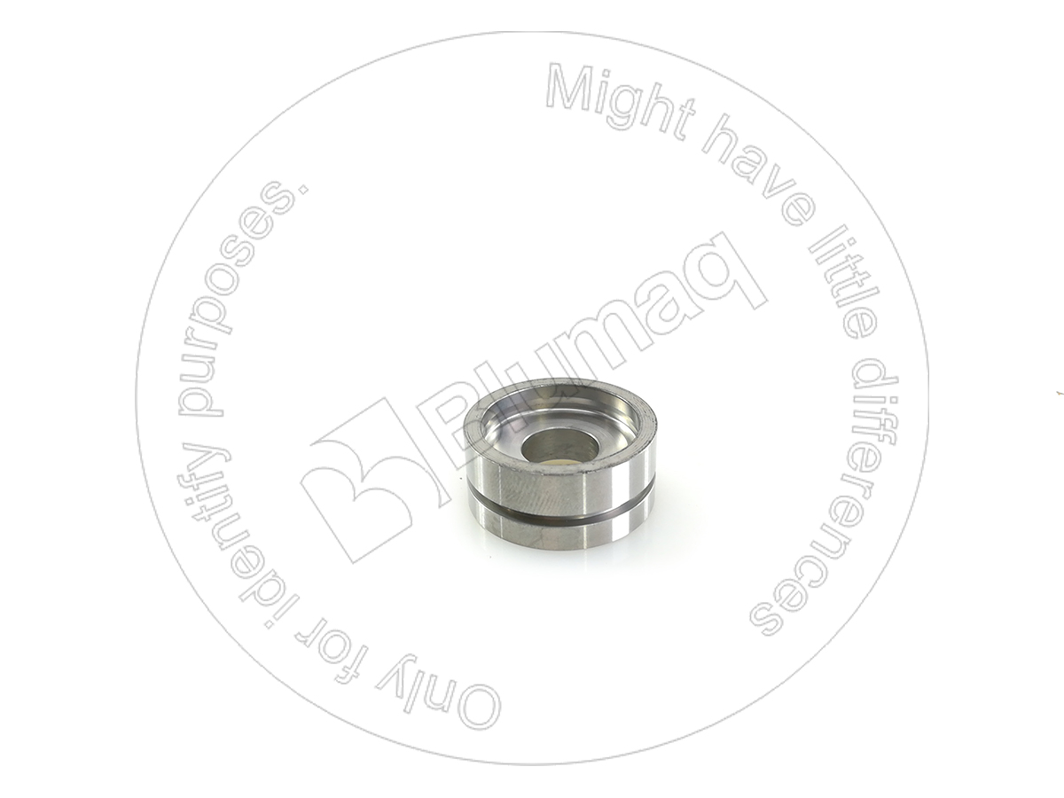 099-5838 Piston