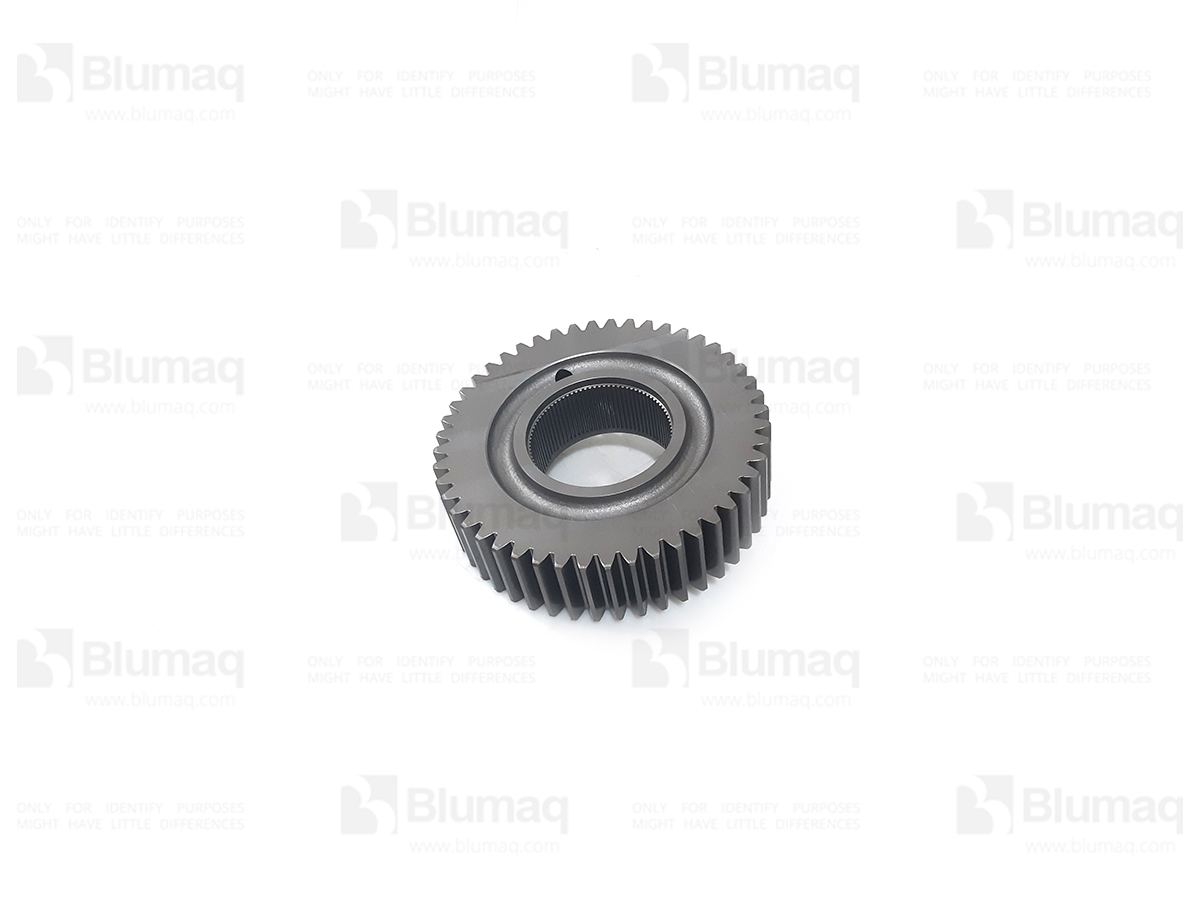 256-7177 Gear for BLUMAQ