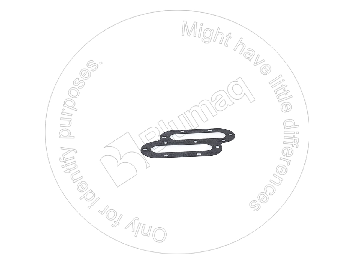 145-3188 Gasket for BLUMAQ