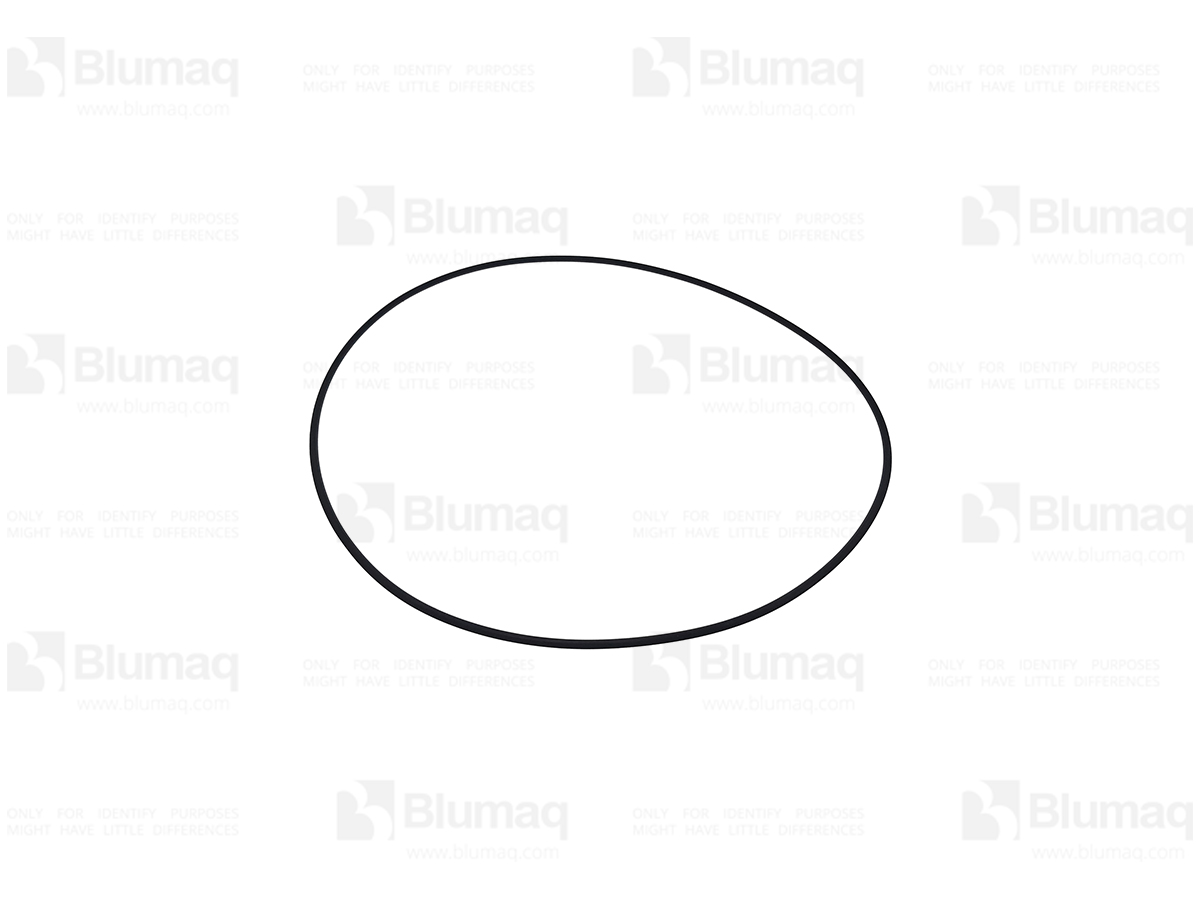 185-3502 Seal O-ring for BLUMAQ