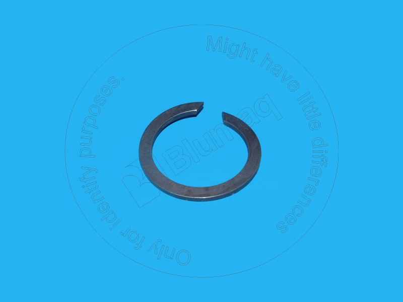 JDL100169 BLUMAQ Ring