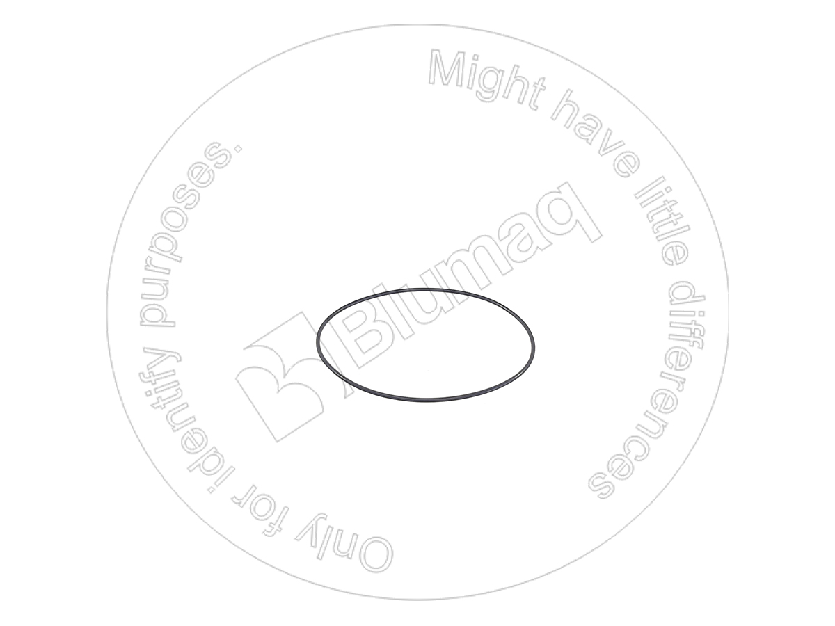76081077 Seal O-ring