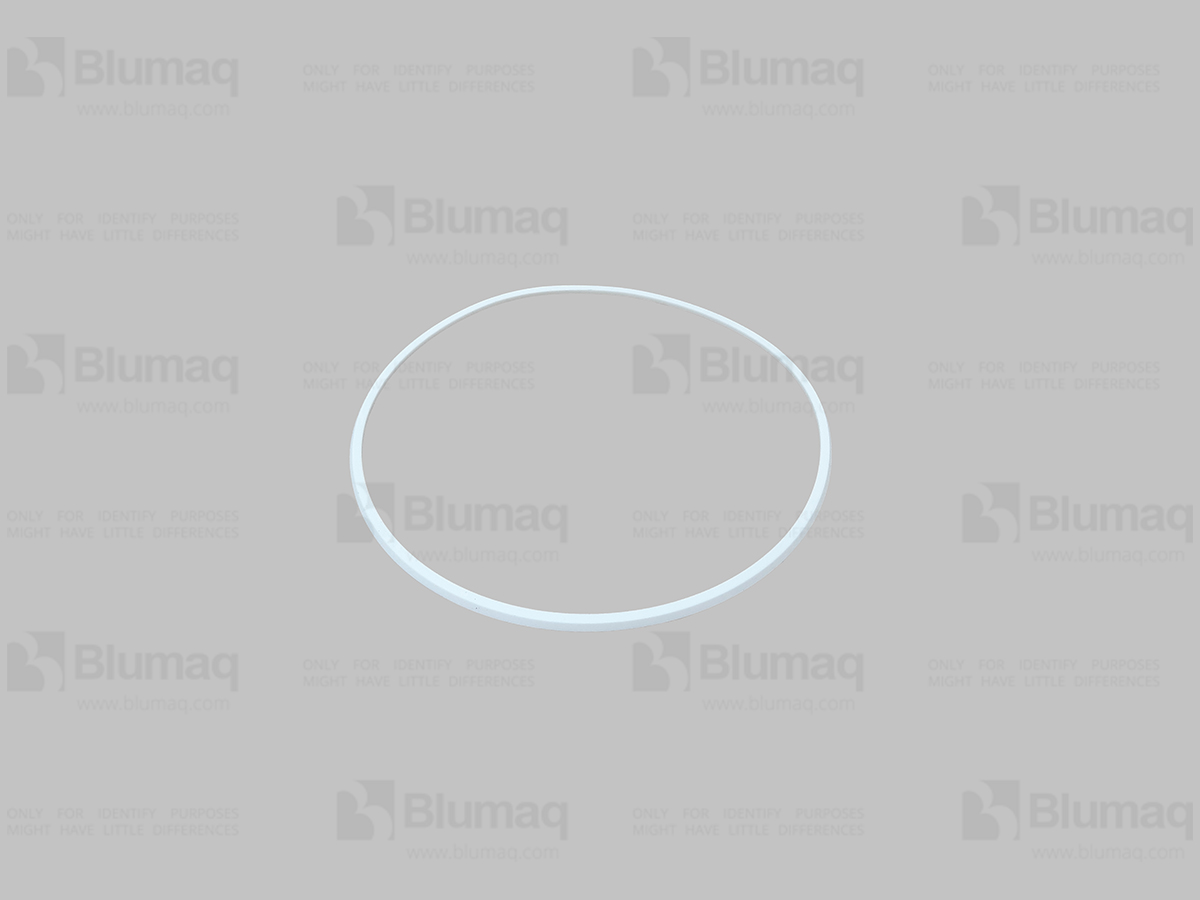 8G-2192 Seal for BLUMAQ