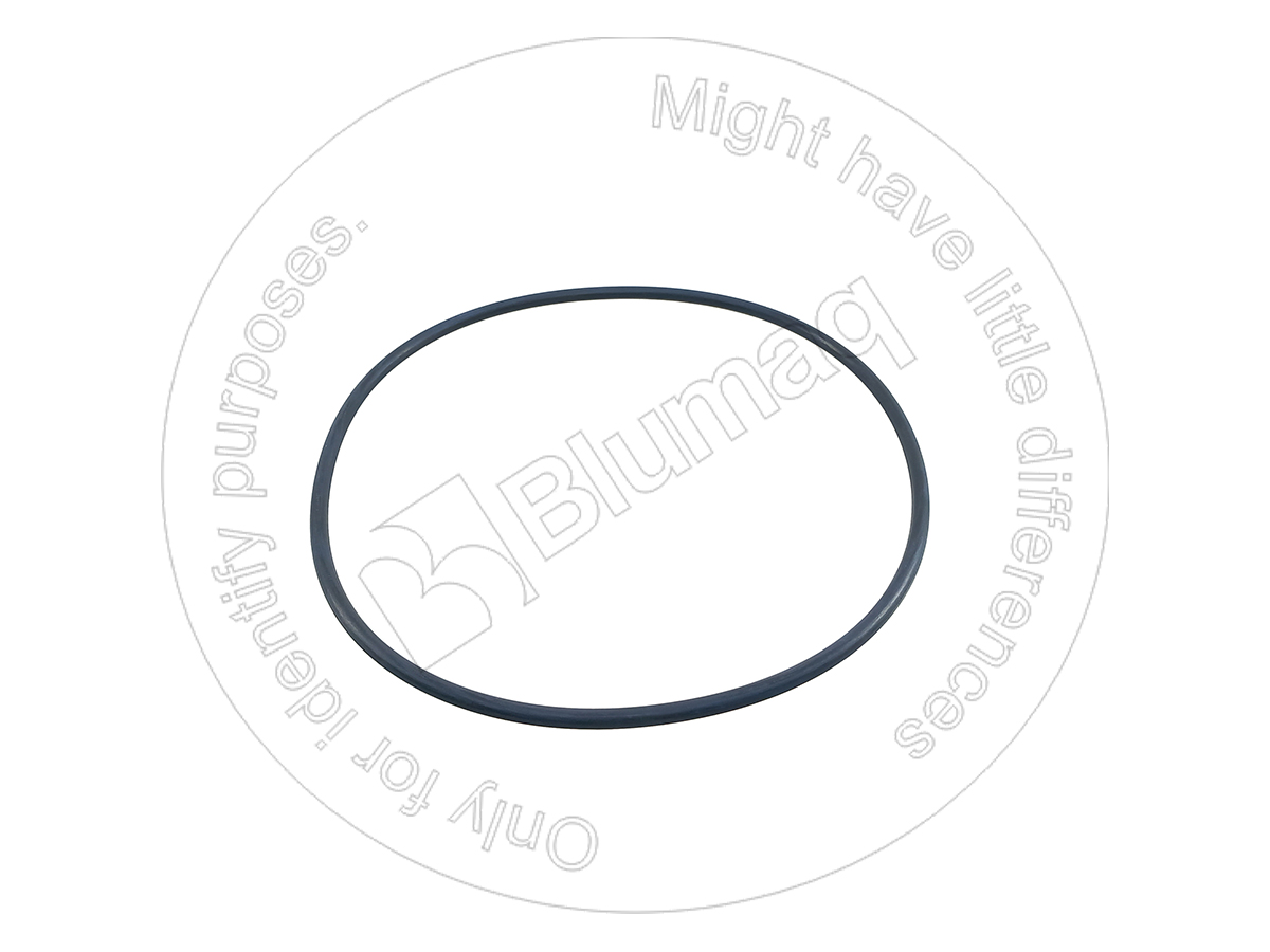 07000-06250 Seal O-ring for BLUMAQ