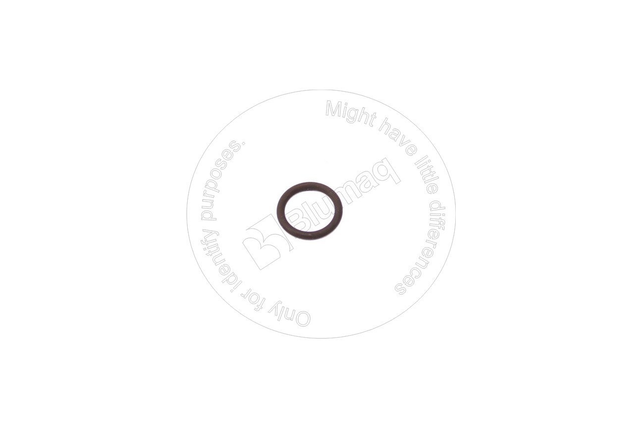 1093206 Seal O Ring