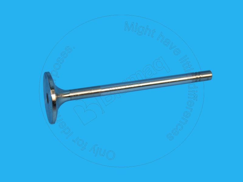 123-0486 Intake Valve