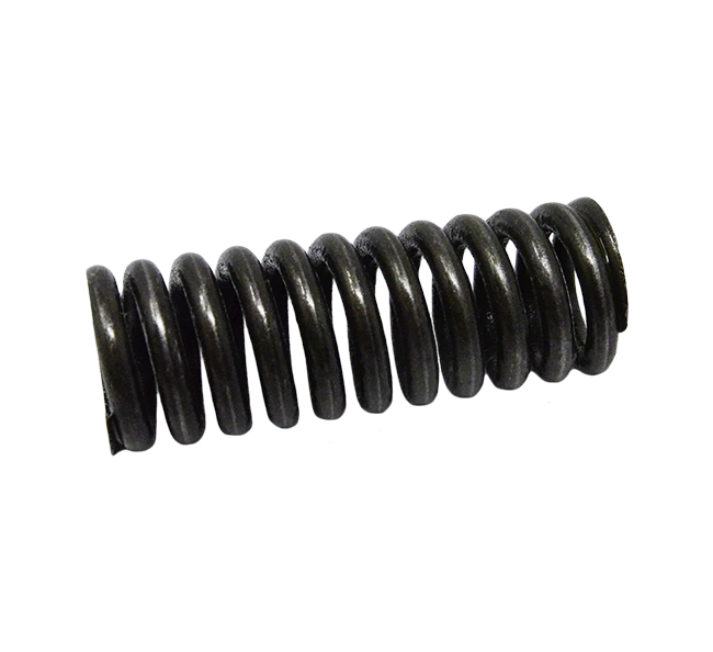 100753A1 Spring