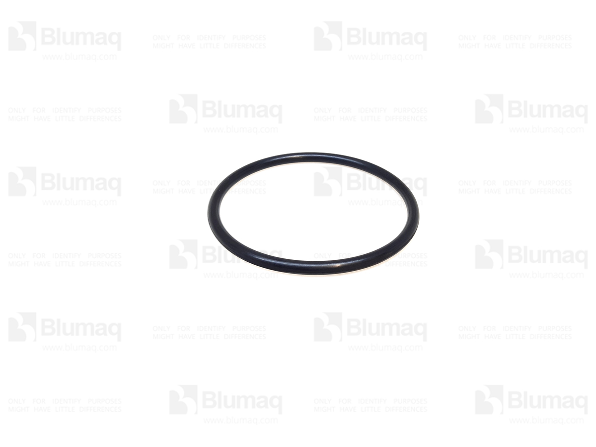 VO9524-00200 Seal O-ring for BLUMAQ