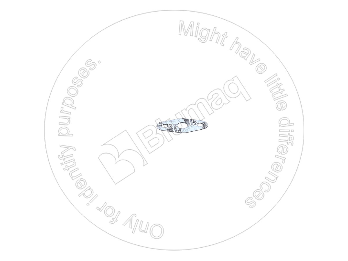 MI34339-04201 Paper Gasket for BLUMAQ