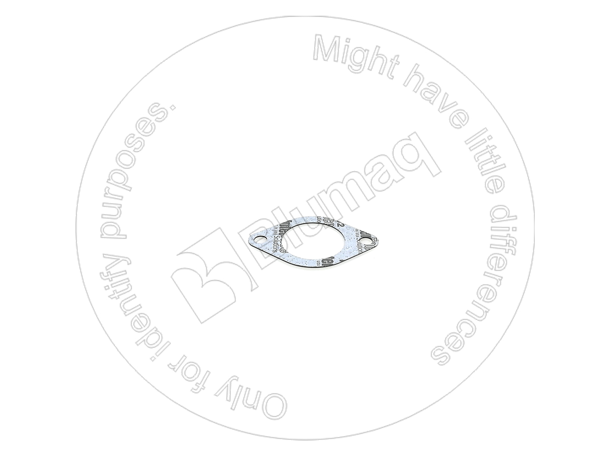 439-0945 Thermostat Gasket for BLUMAQ