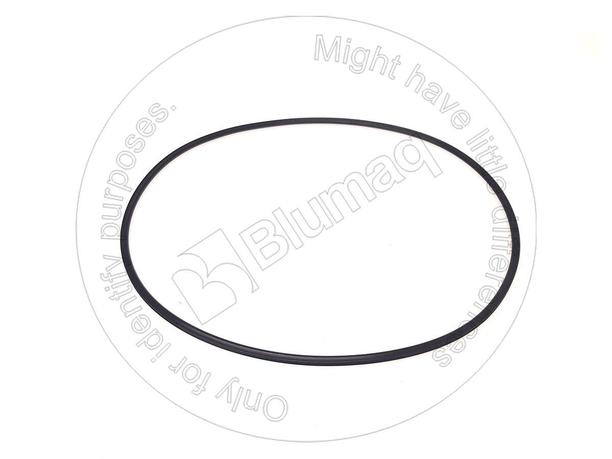900.01629 Seal for BLUMAQ
