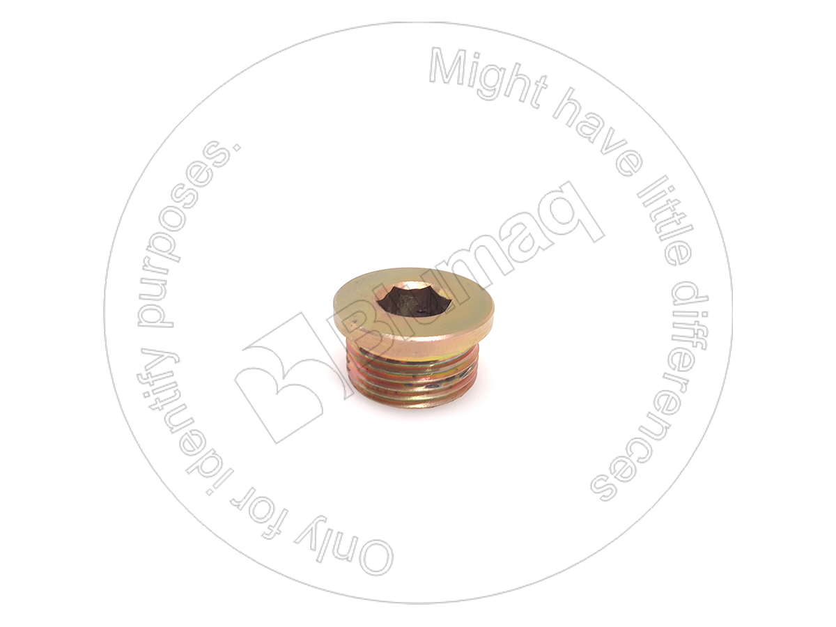 9S-8009 Plug for BLUMAQ