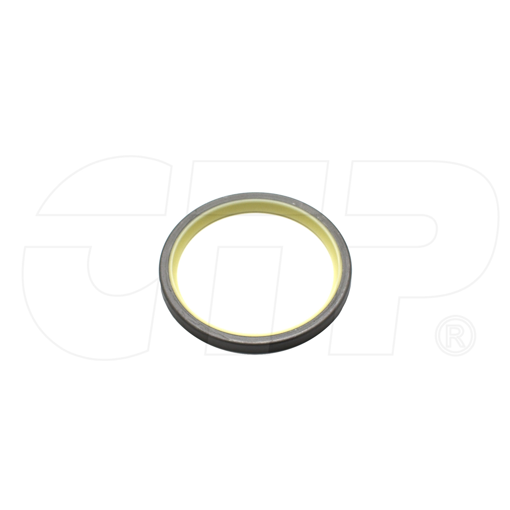 1661495 Seal-lip Type