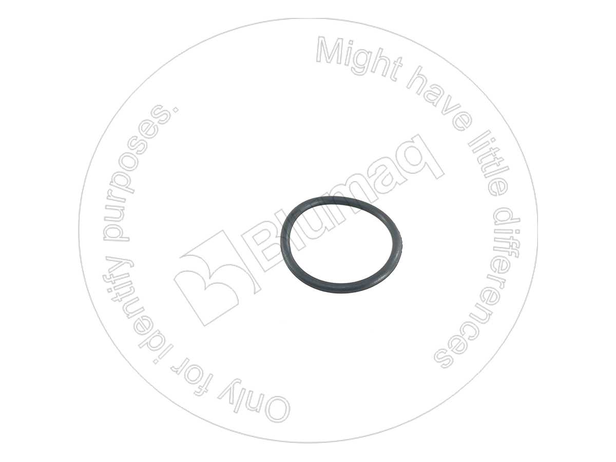 CSA52149 Seal O-ring for BLUMAQ