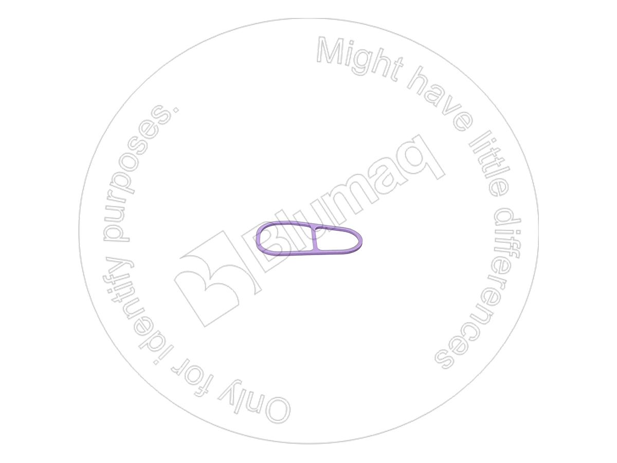 032.169 Gasket for BLUMAQ