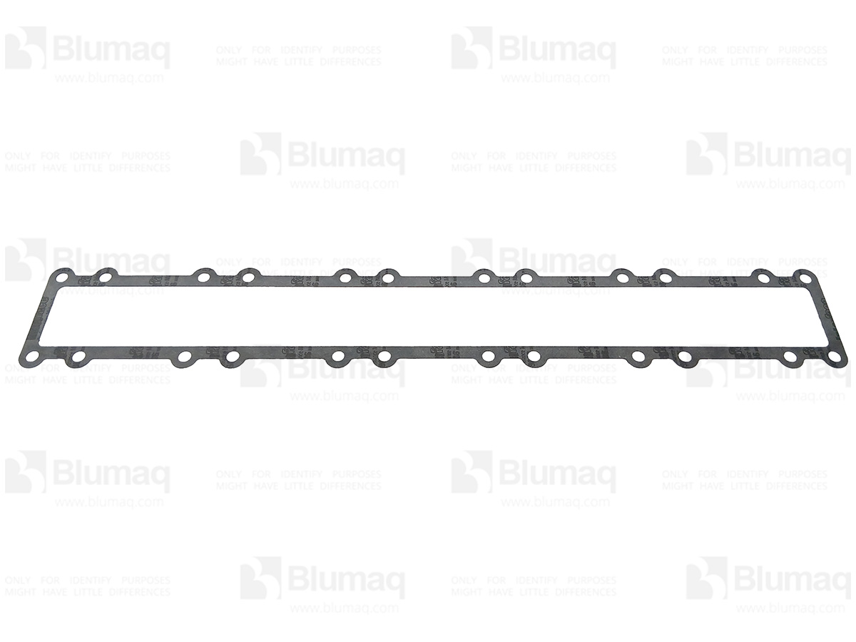 107-3664 Gasket for BLUMAQ