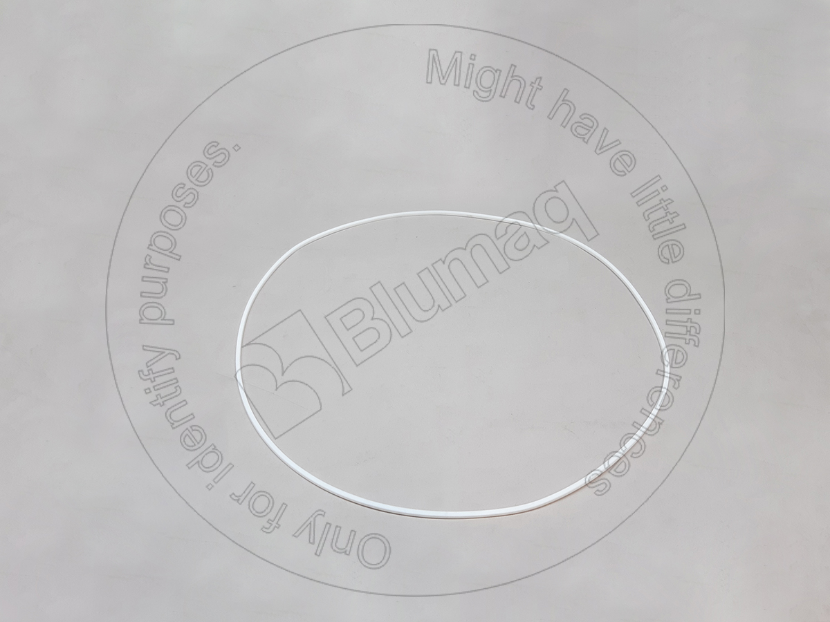 426-15-19220 Segment for BLUMAQ