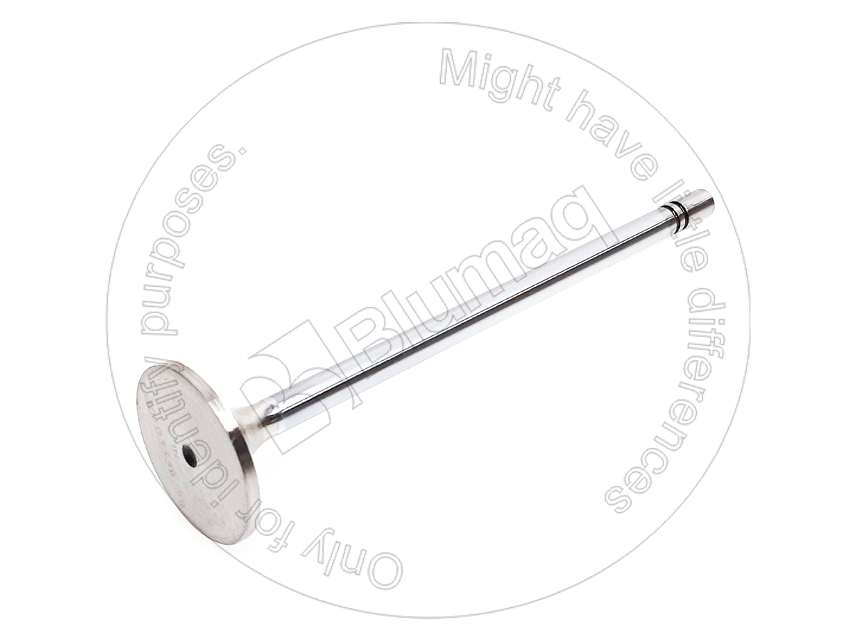 252-7802 Intake Valve