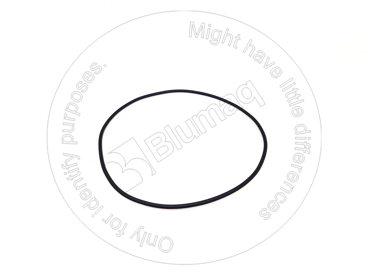 CS8605078 Seal O-ring