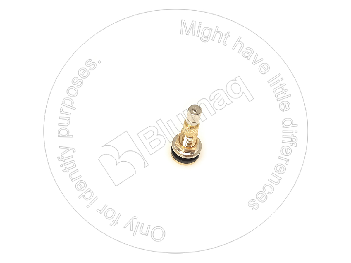 299-0380 Tire Inflation Valve