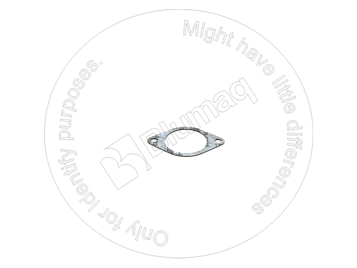 217-5864 Gasket for BLUMAQ
