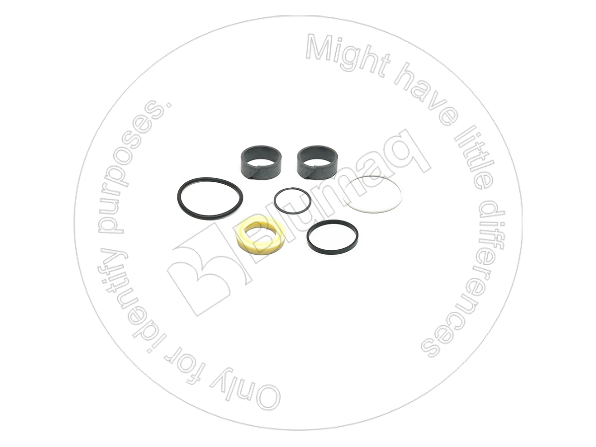 BD904400 Seal Kit