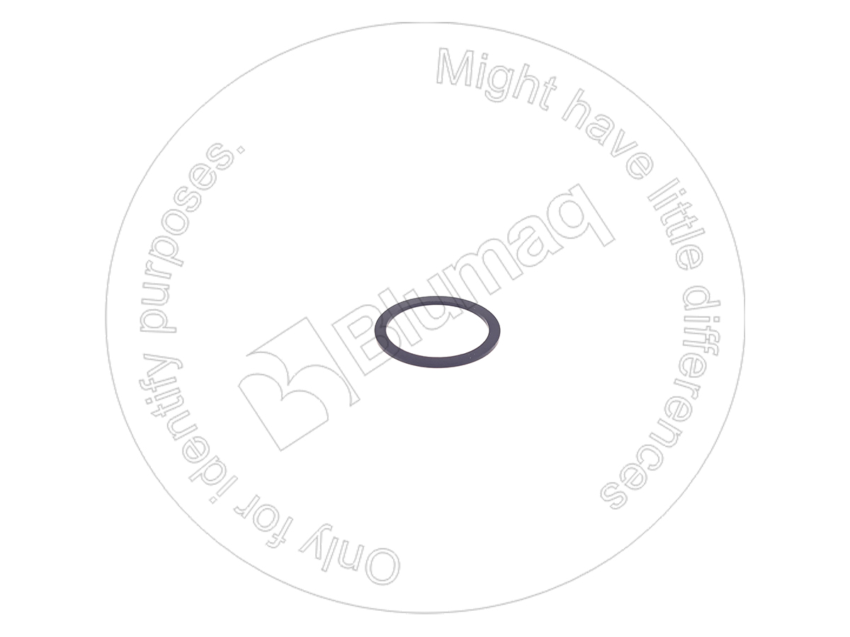 097-5174 Back-up Ring for BLUMAQ