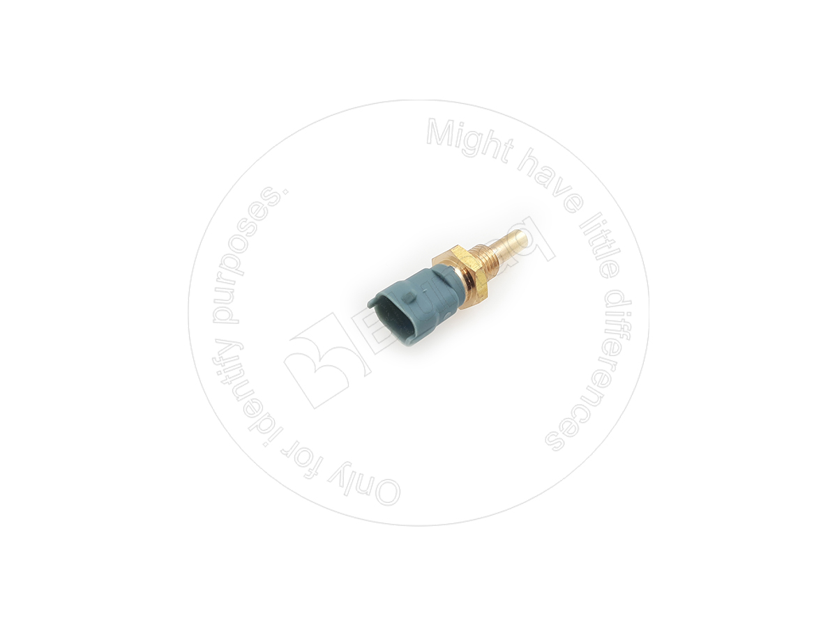 CS500382599 BLUMAQ Temperature Sensor