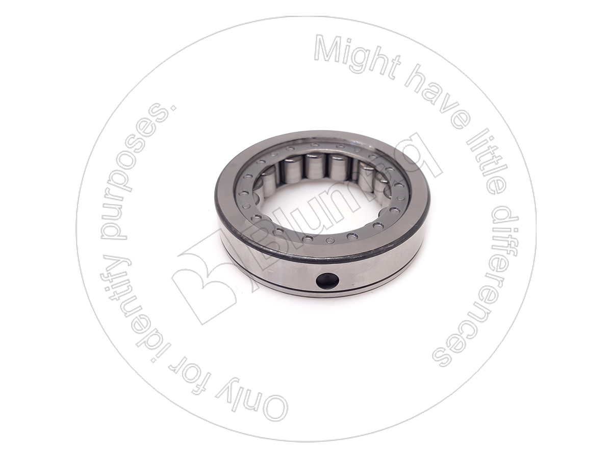 5K-8591 Bearing for BLUMAQ