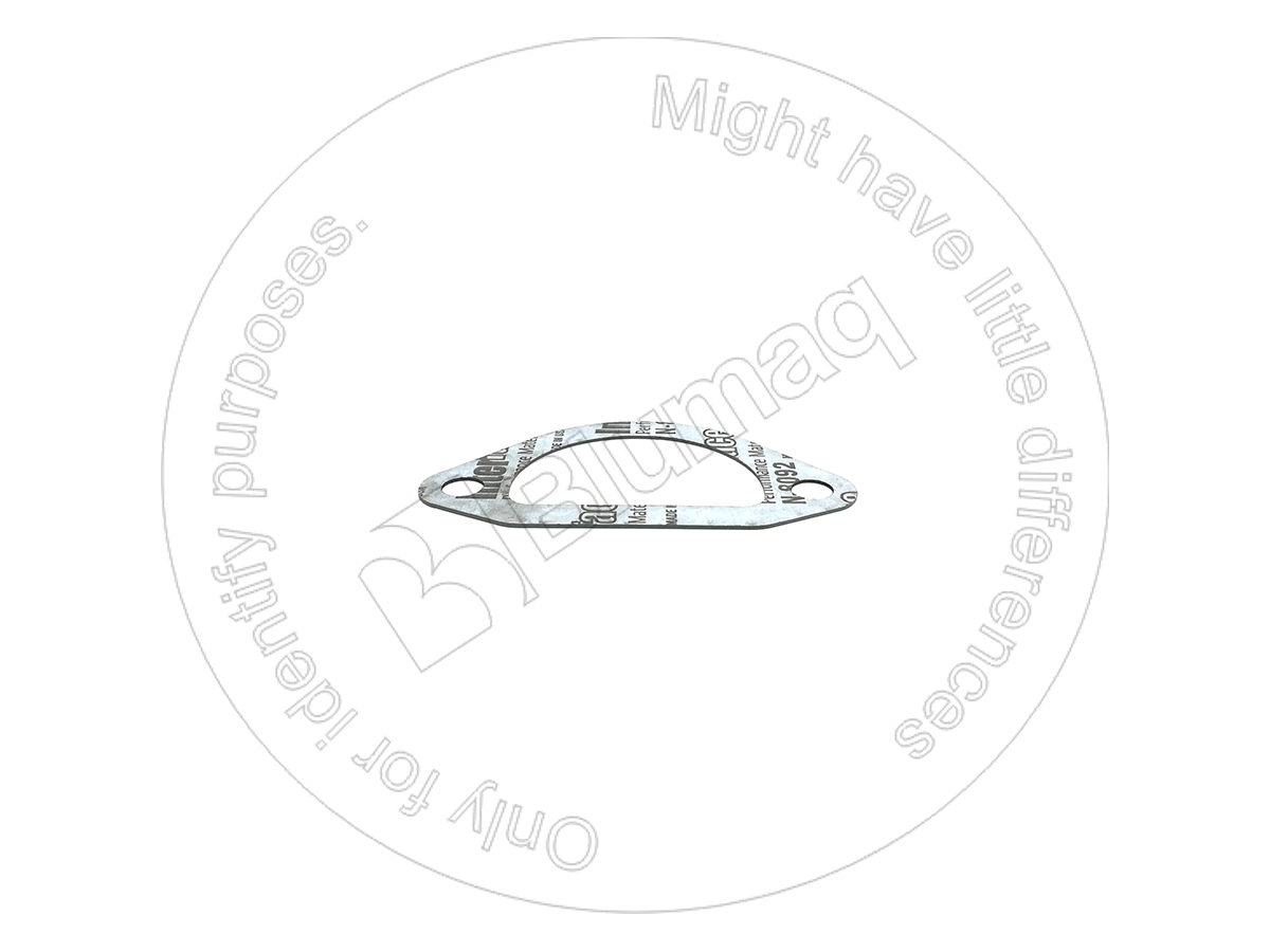 113-2050 Paper Gasket for BLUMAQ