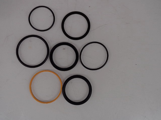71136593 Seal Kit for AGCO