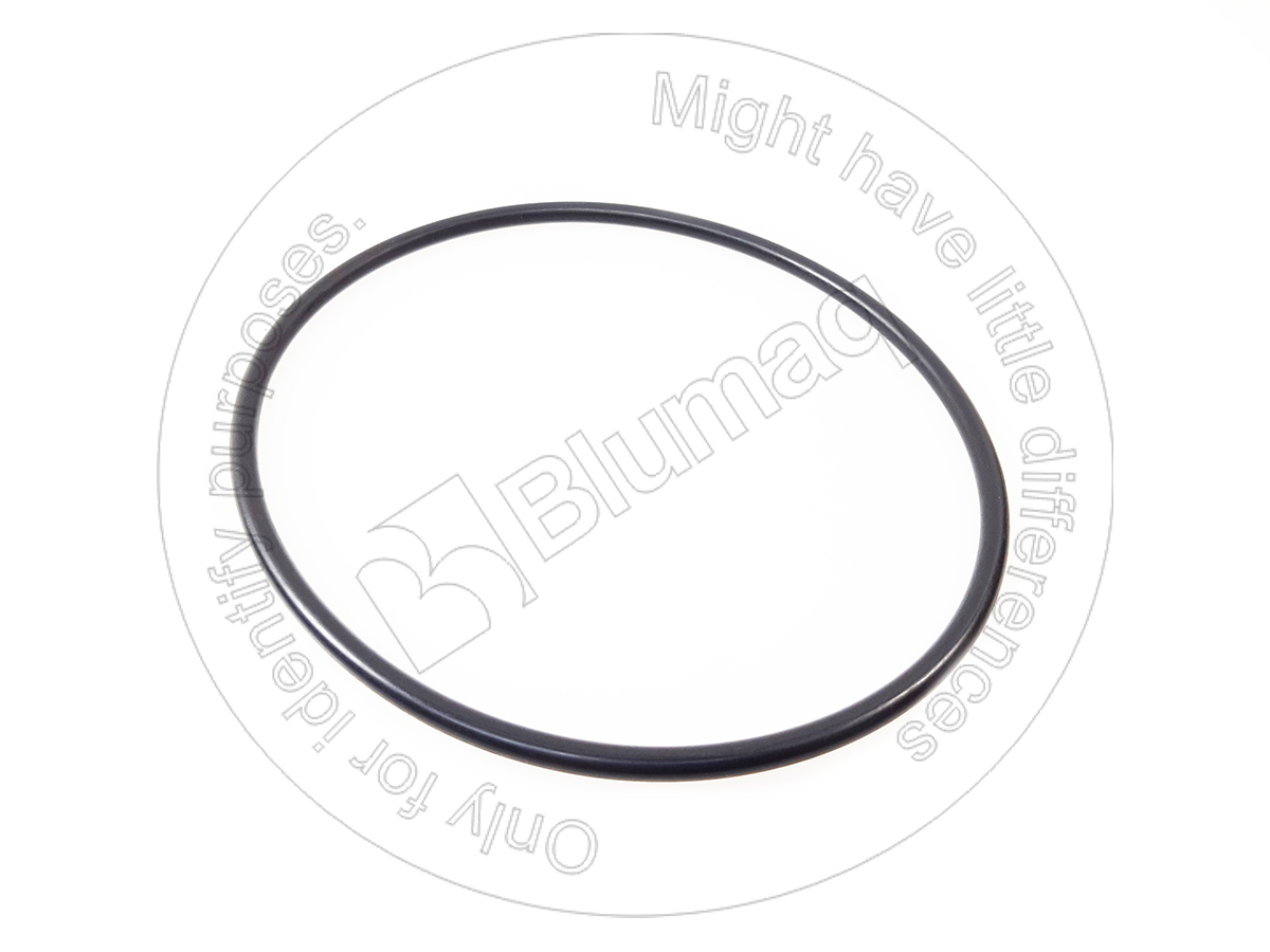 095-1725 Seal O-ring for BLUMAQ