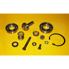 1700564 Rebuild Kit-ctp Assy