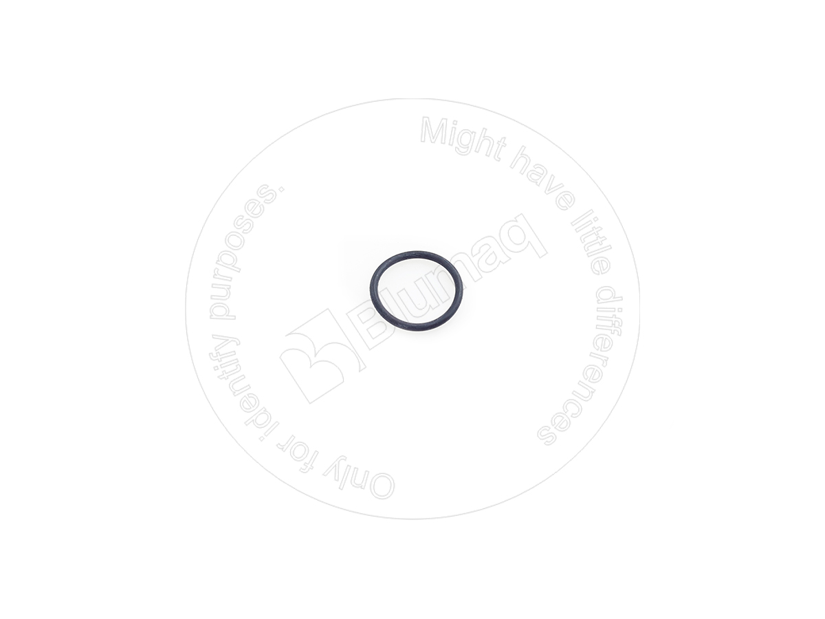 CSS301574 Seal O-ring