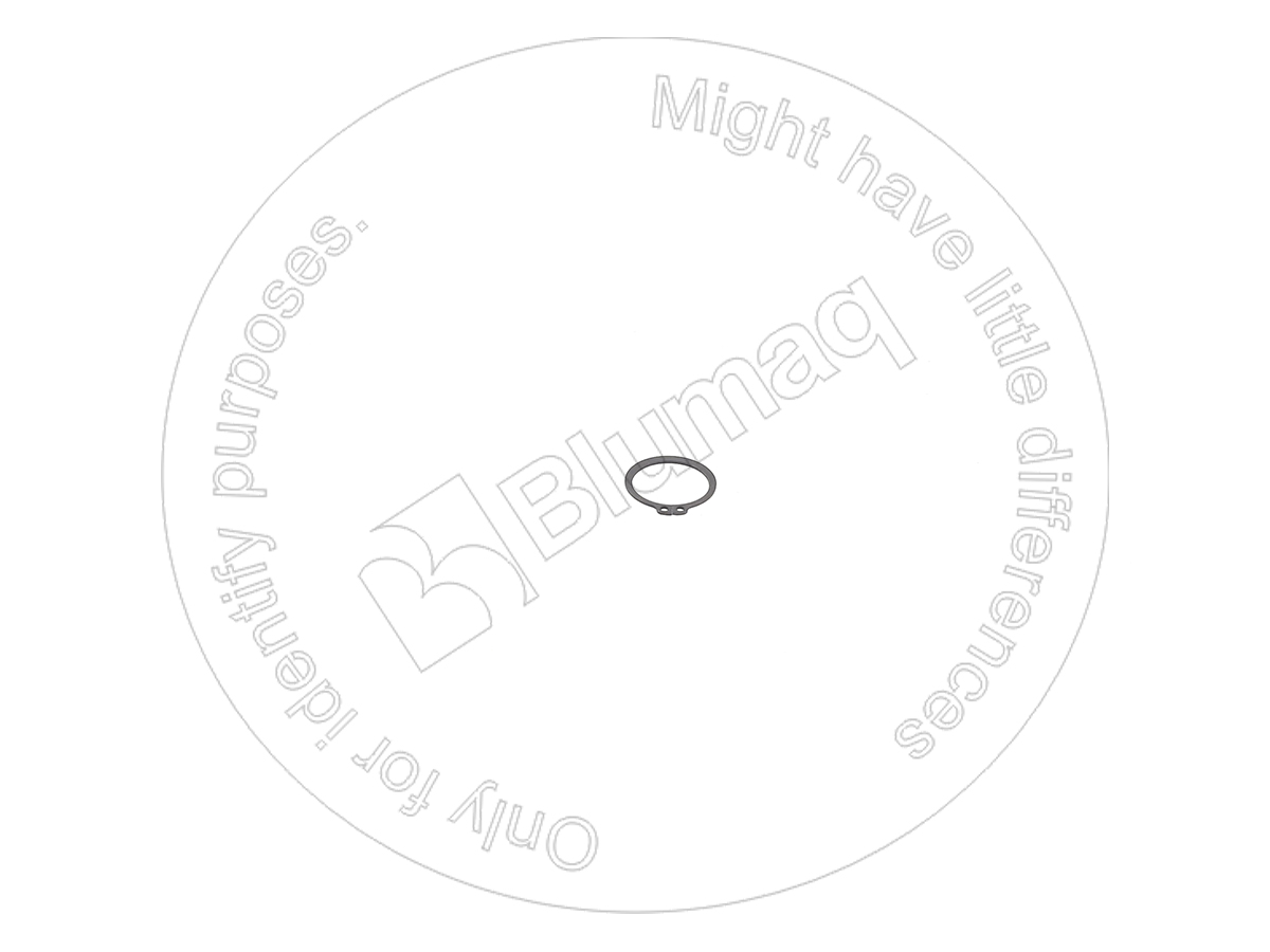 4I-5850 Ring