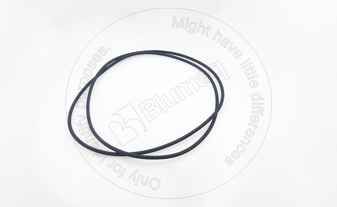 5812211750 Seal O-ring for BLUMAQ