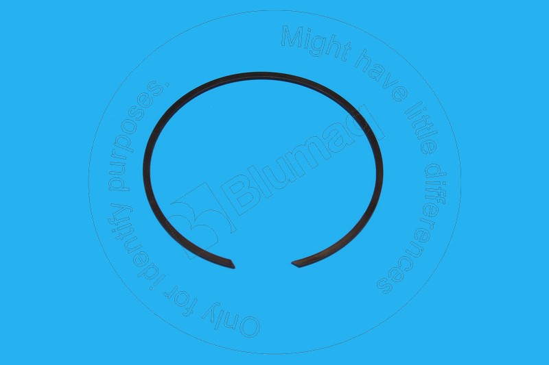 093-1731 Snap Ring for BLUMAQ