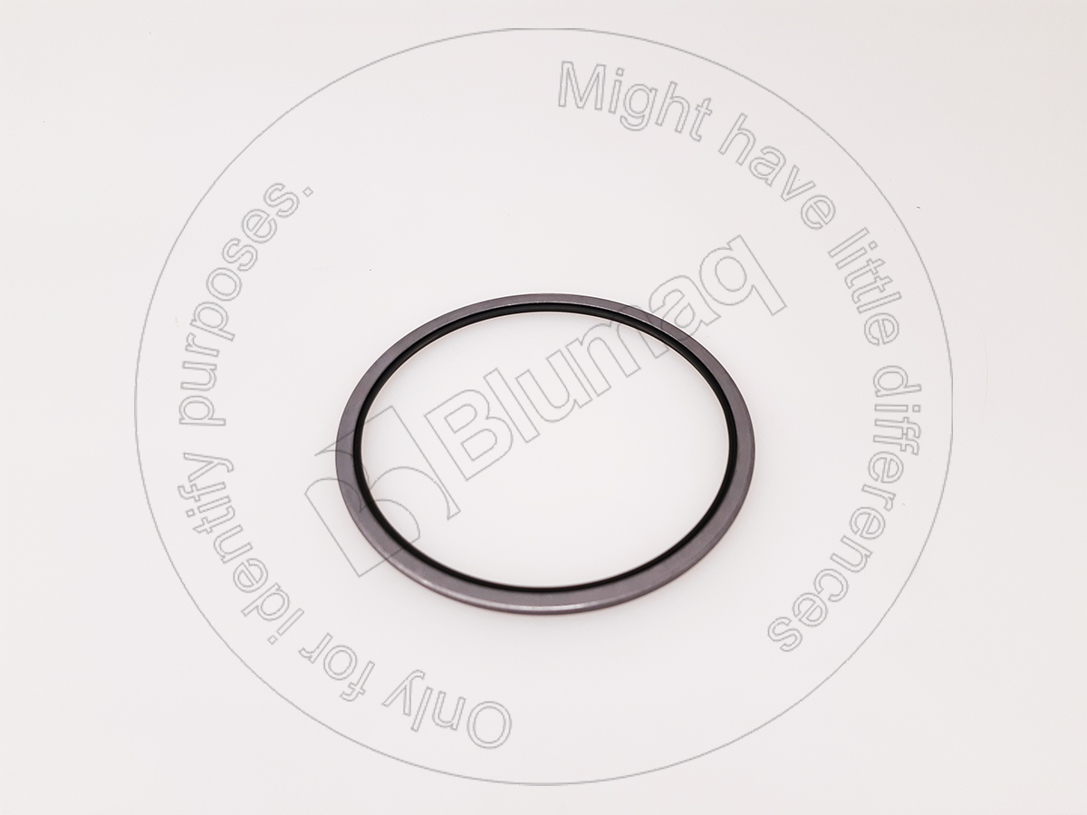 385-10119151 Dust Seal for BLUMAQ