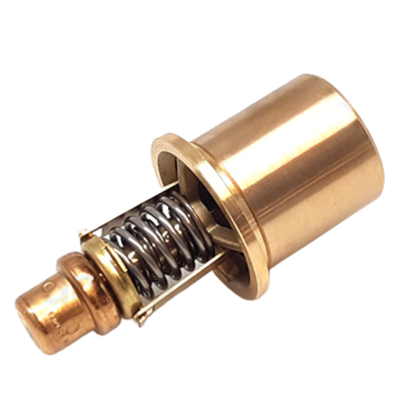 1096X110 Thermostat