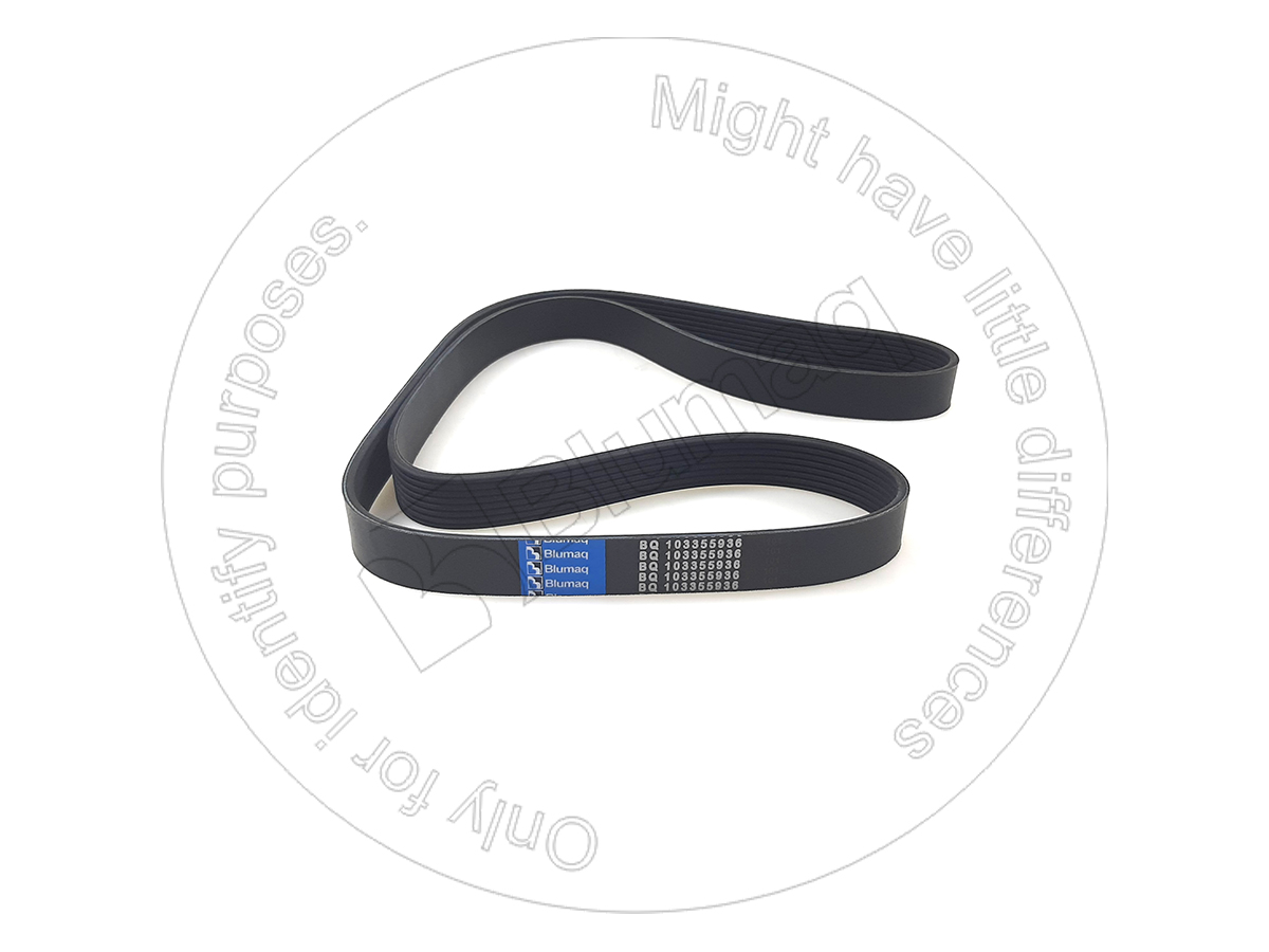 CSJ911566 Belt