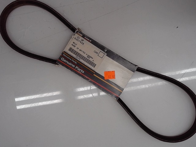 K307429 Belt