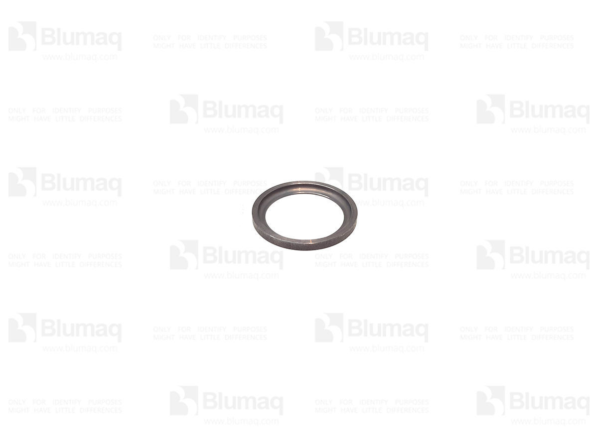 1S-3889 Washer for BLUMAQ
