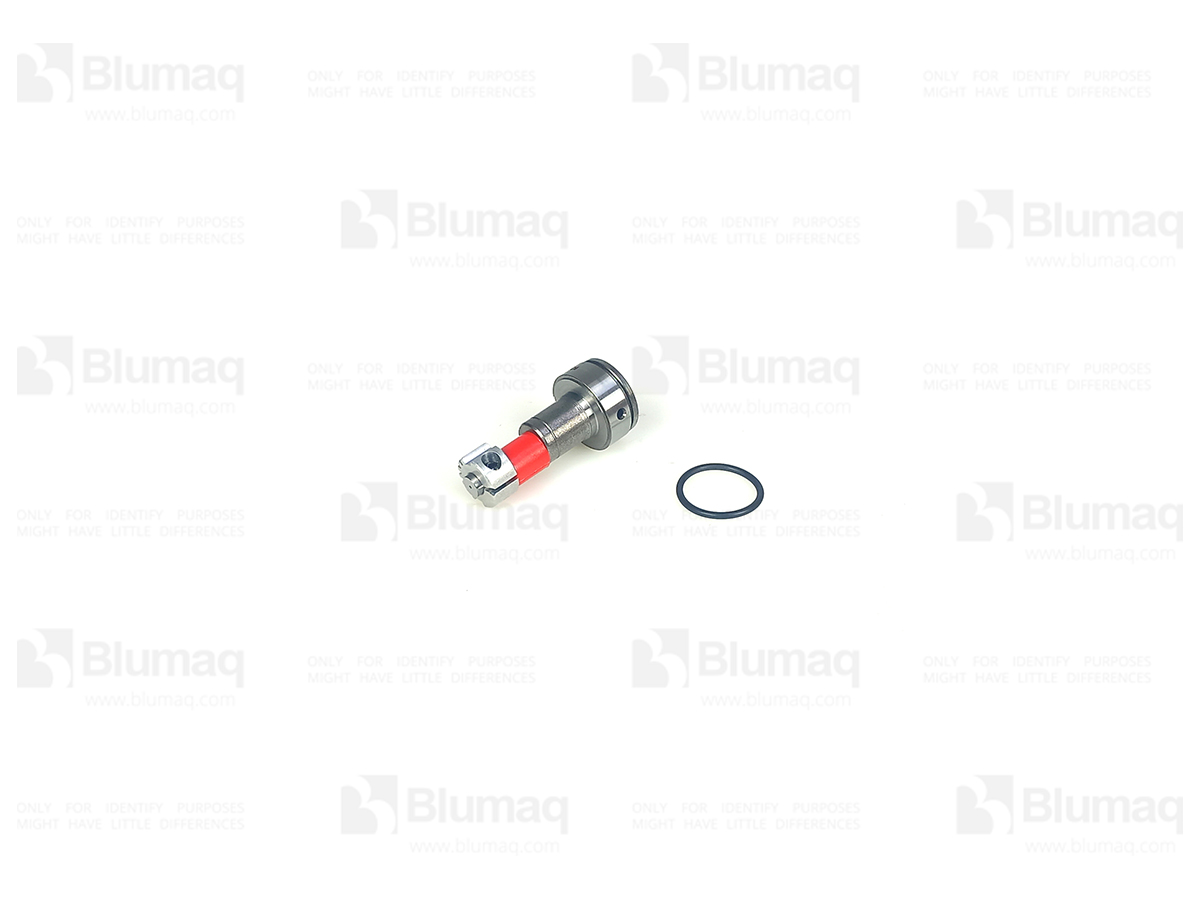 9H-5797 Plunger & Barrel for BLUMAQ