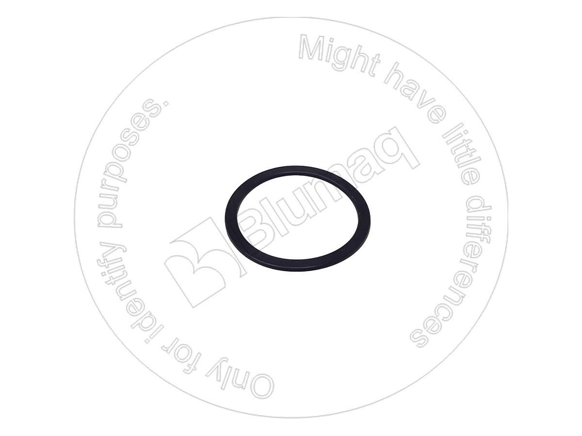 202-7530 Seal for BLUMAQ