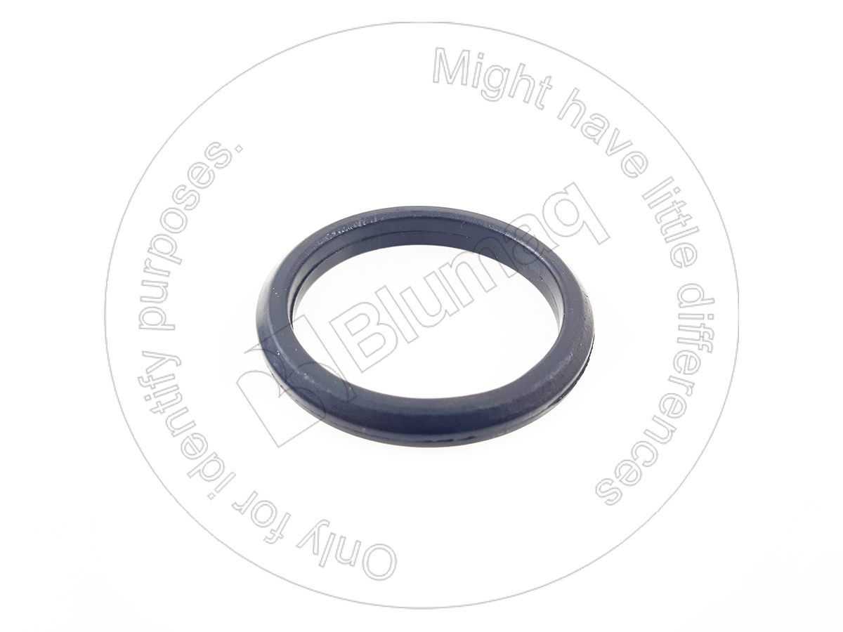 033.175 Seal for BLUMAQ