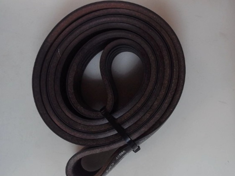 42086 Belt