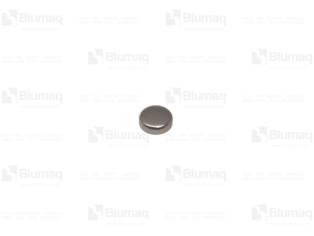 CU205401 BLUMAQ Plug