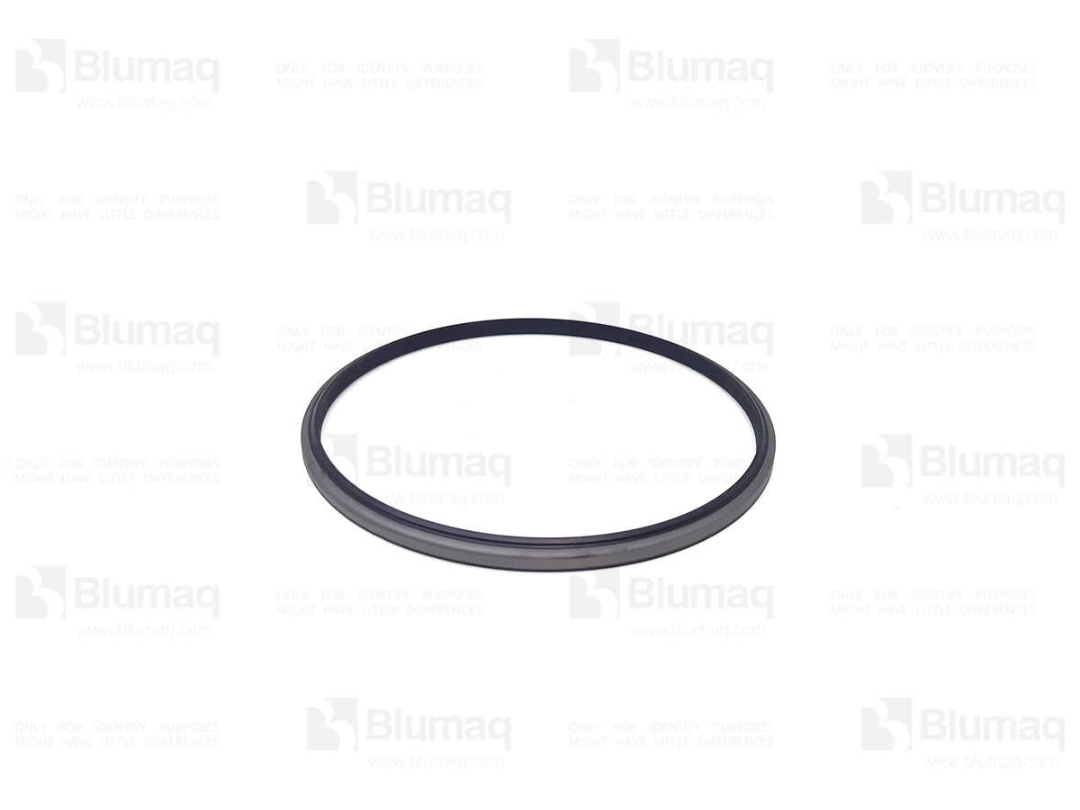 462-8176 Seal for BLUMAQ