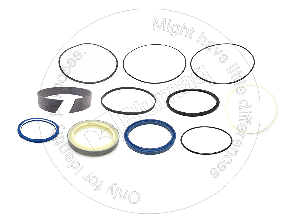 245-0599 Hydraulic Seal Kit for BLUMAQ