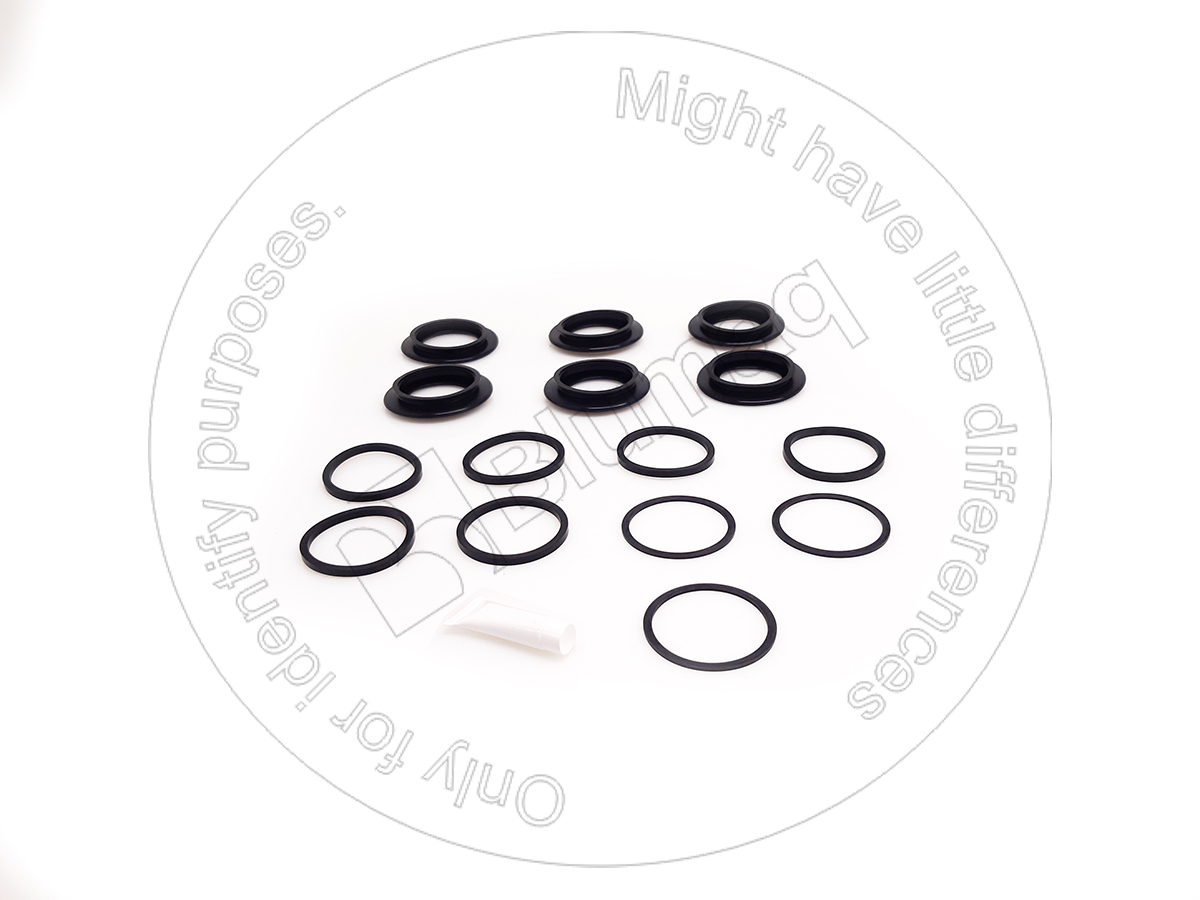 CSS300320 Repair Kit